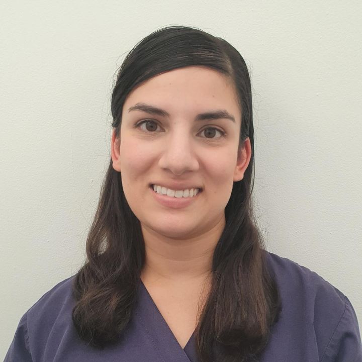 Meet The Dental Team In Bristol The Dental Touch Dental Practice